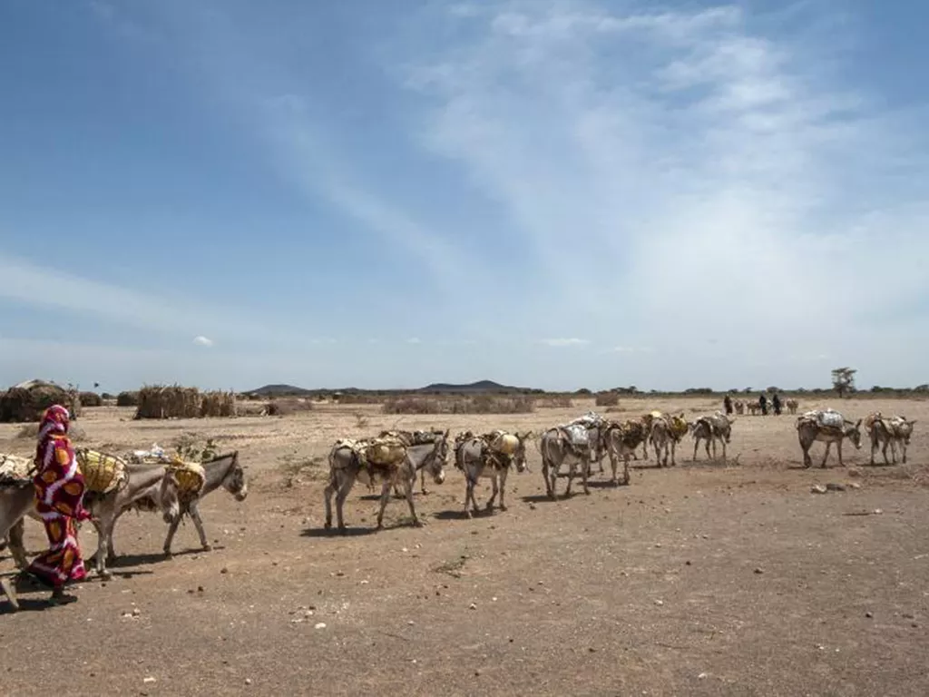 The First Global Trading Network in the Bronze Age  Middle East c 2000 - 1700 BC Donkey Caravan